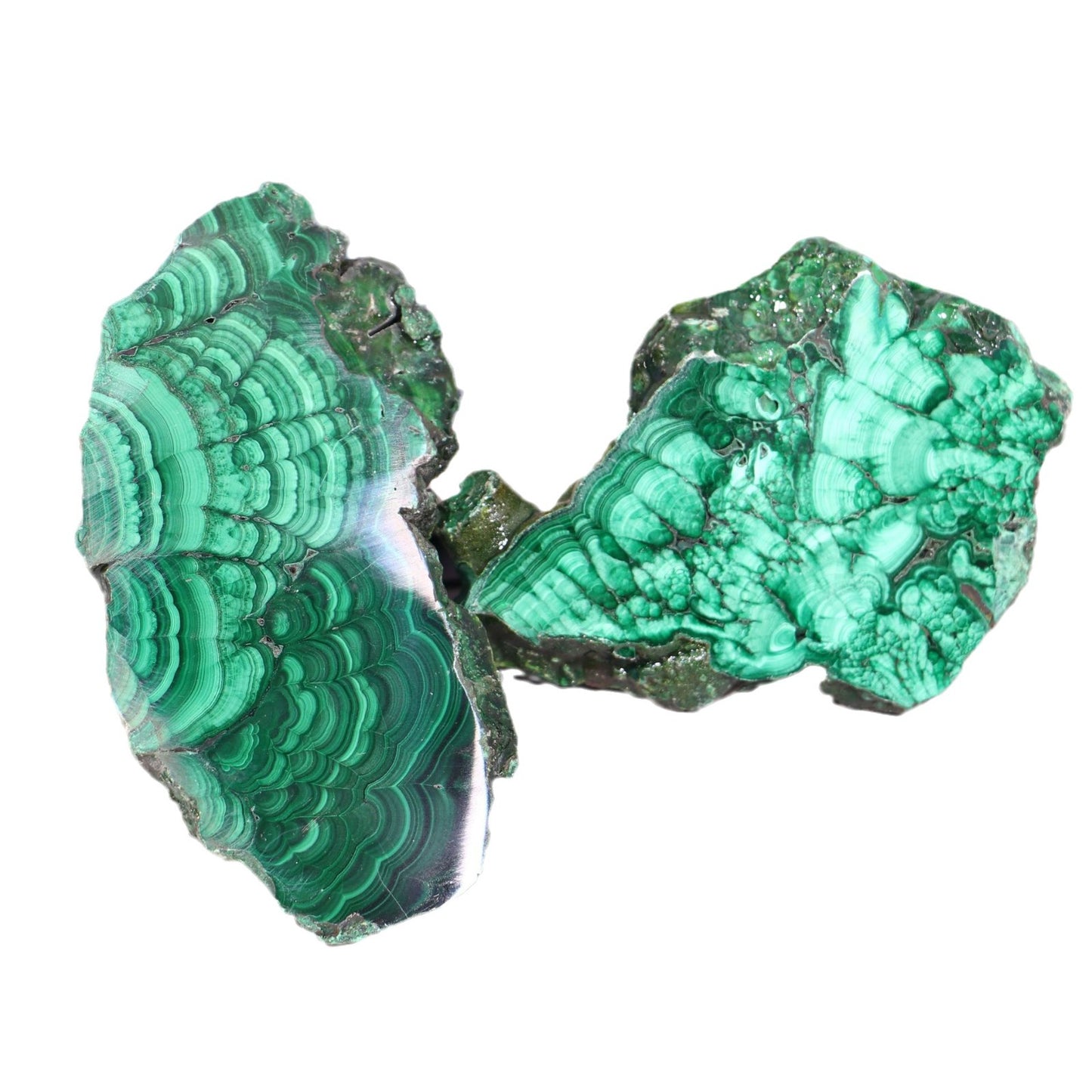 Malachite Crystal Slice | Green Striated Mineral Specimen