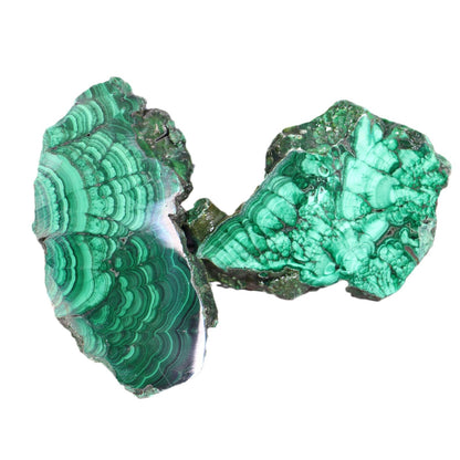 Malachite Crystal Slice | Green Striated Mineral Specimen